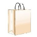 KRAFT BAG 13X7X17 W/HANDLE 250/BN #17365