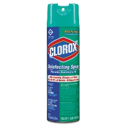 CLOROX DISINFECTANT 12/19OZ