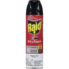 RAID ANT/ROACH KILLER  UNSCENTED #333822 12/17.05OZ