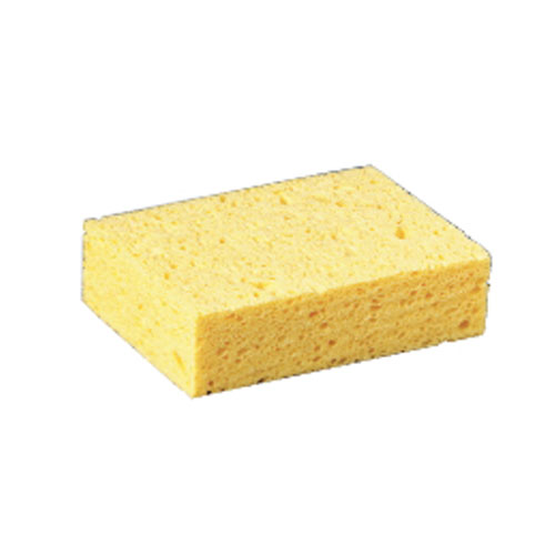 Sponges