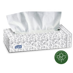 FACIAL TISSUE #TF691 PREMIUM
95/BX (CUBE STYLE BOX)